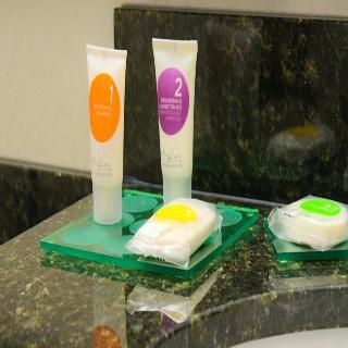 Hyatt Place Downtown 3*